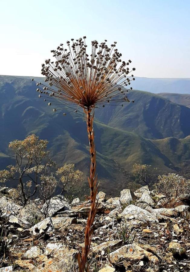 Pousada Perola Mineira Piuí Dış mekan fotoğraf